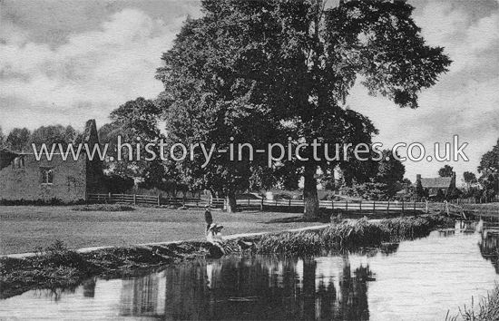 Godstow Nunnery and Trout Inn, Oxford, Oxfordshire. c.1904